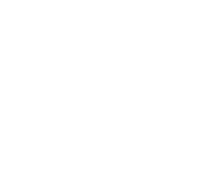 Sehgal Consultants